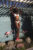 hanging_on_reduced