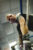 hanging_on_reduced